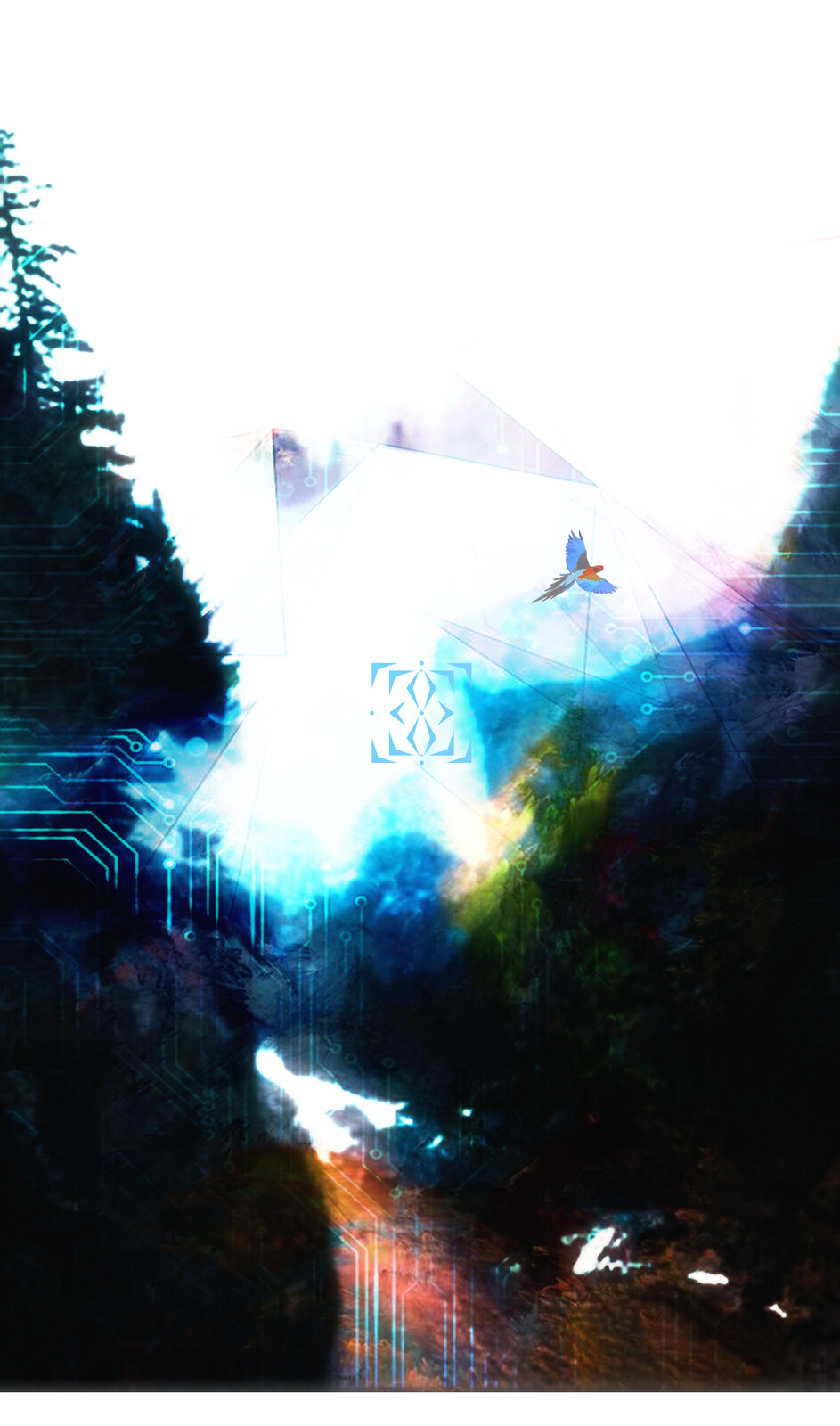 Forests_08