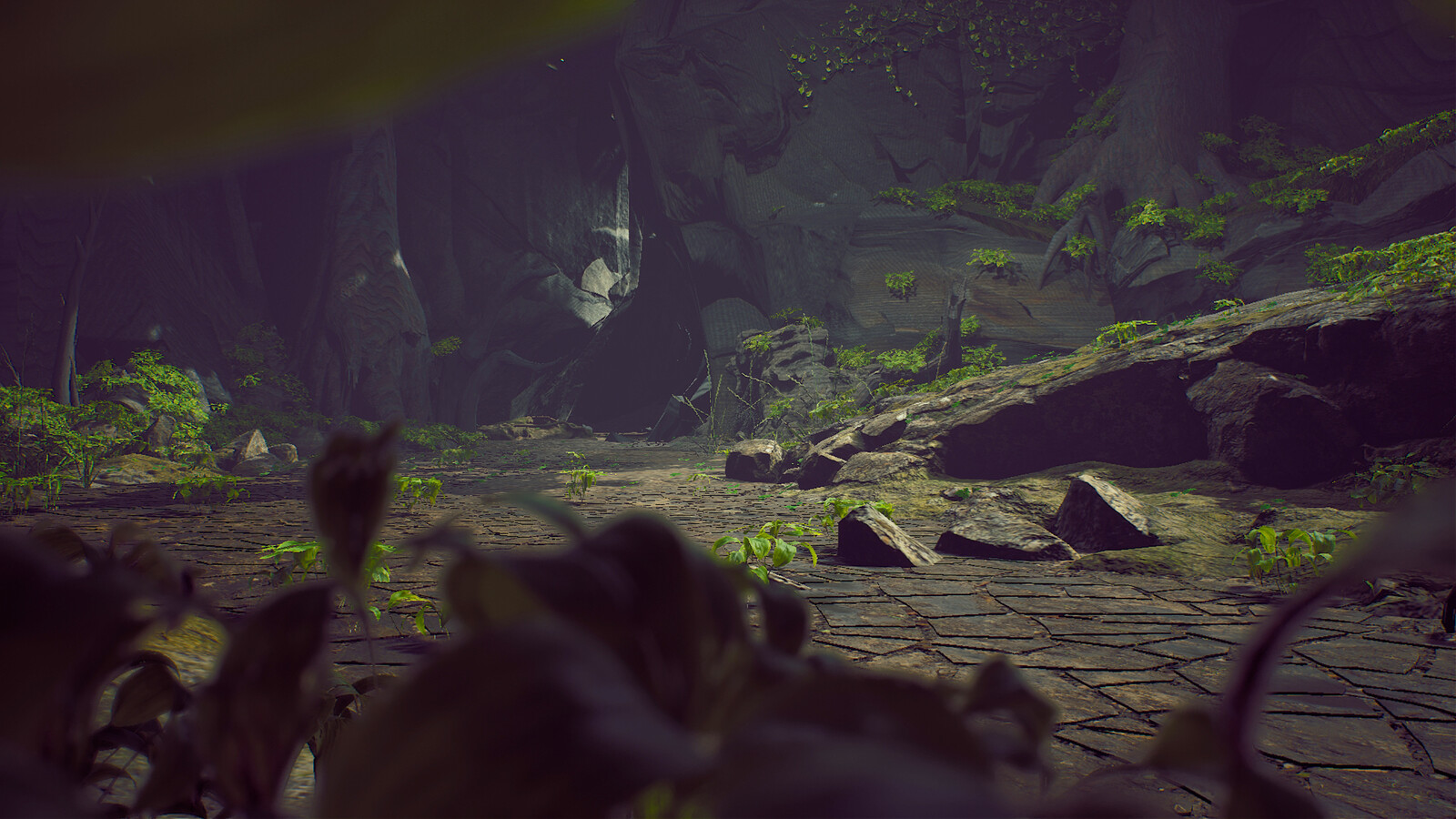 Canyon environment