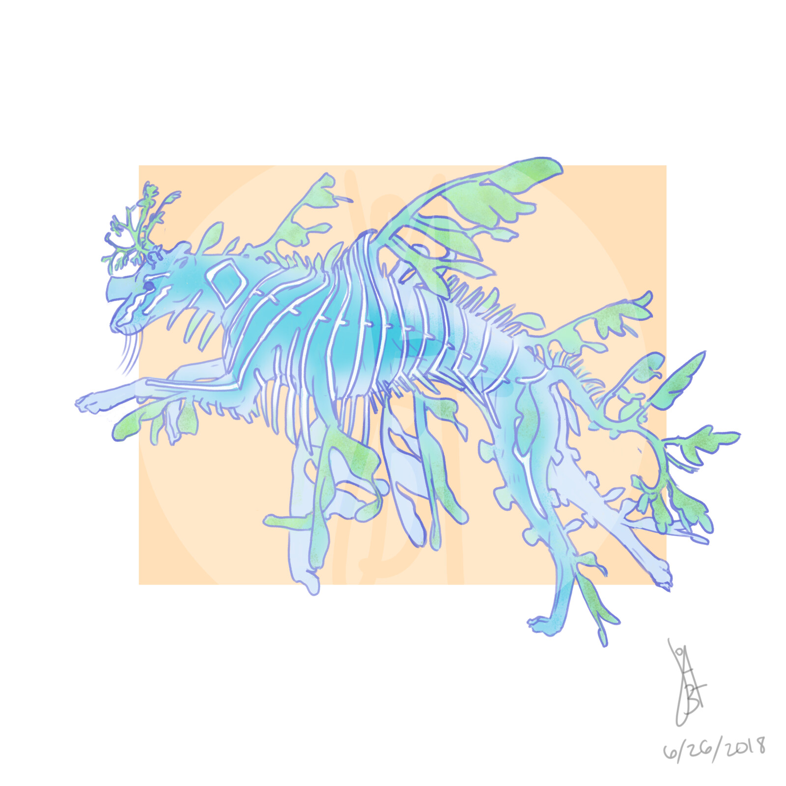 Sketch phase