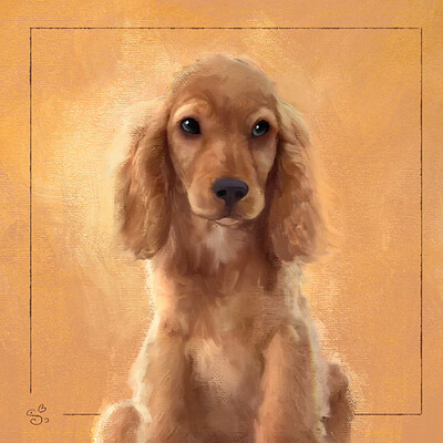 Timmy the Cocker Spaniel