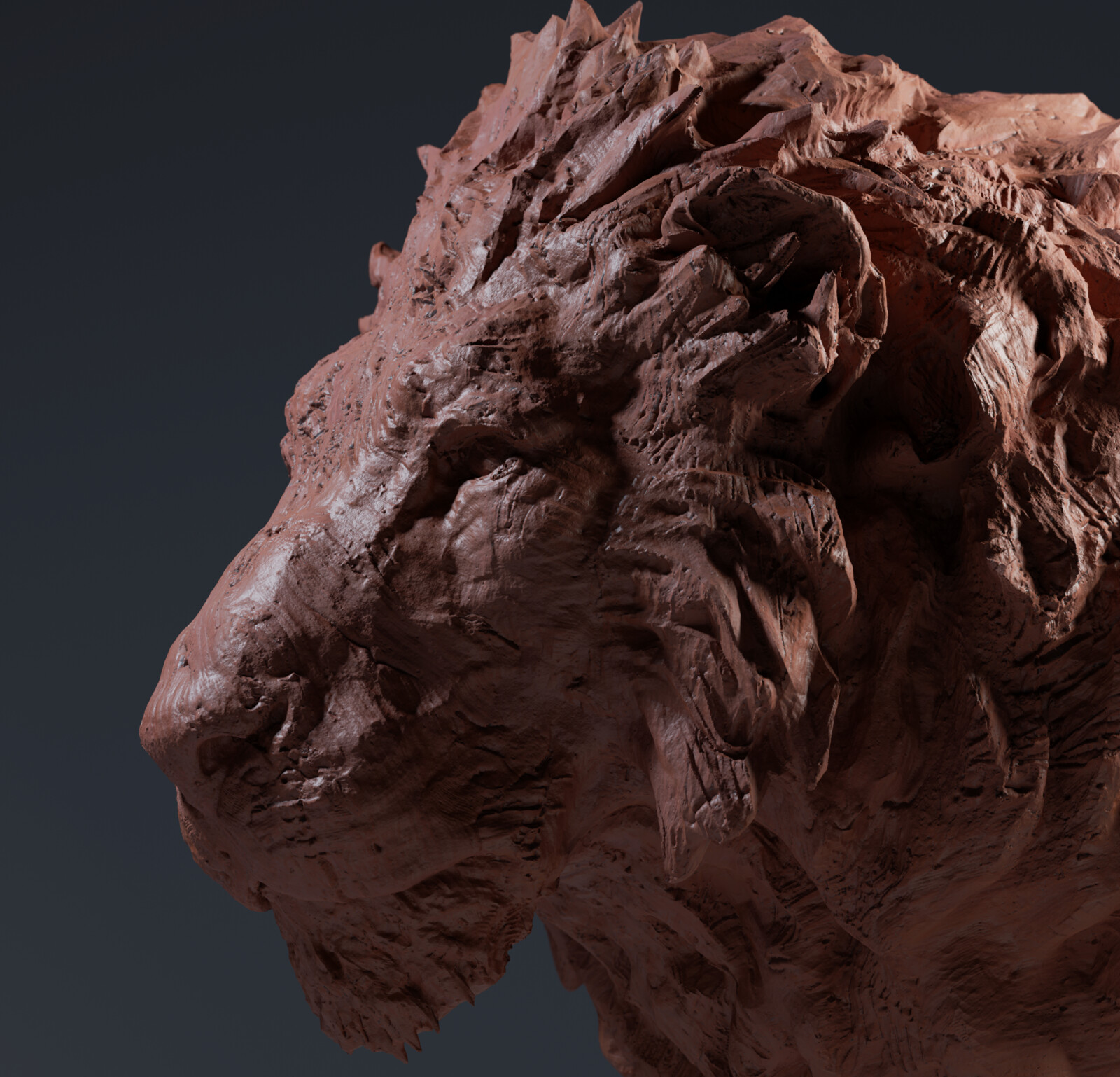 Lion - Head CloseUp shot