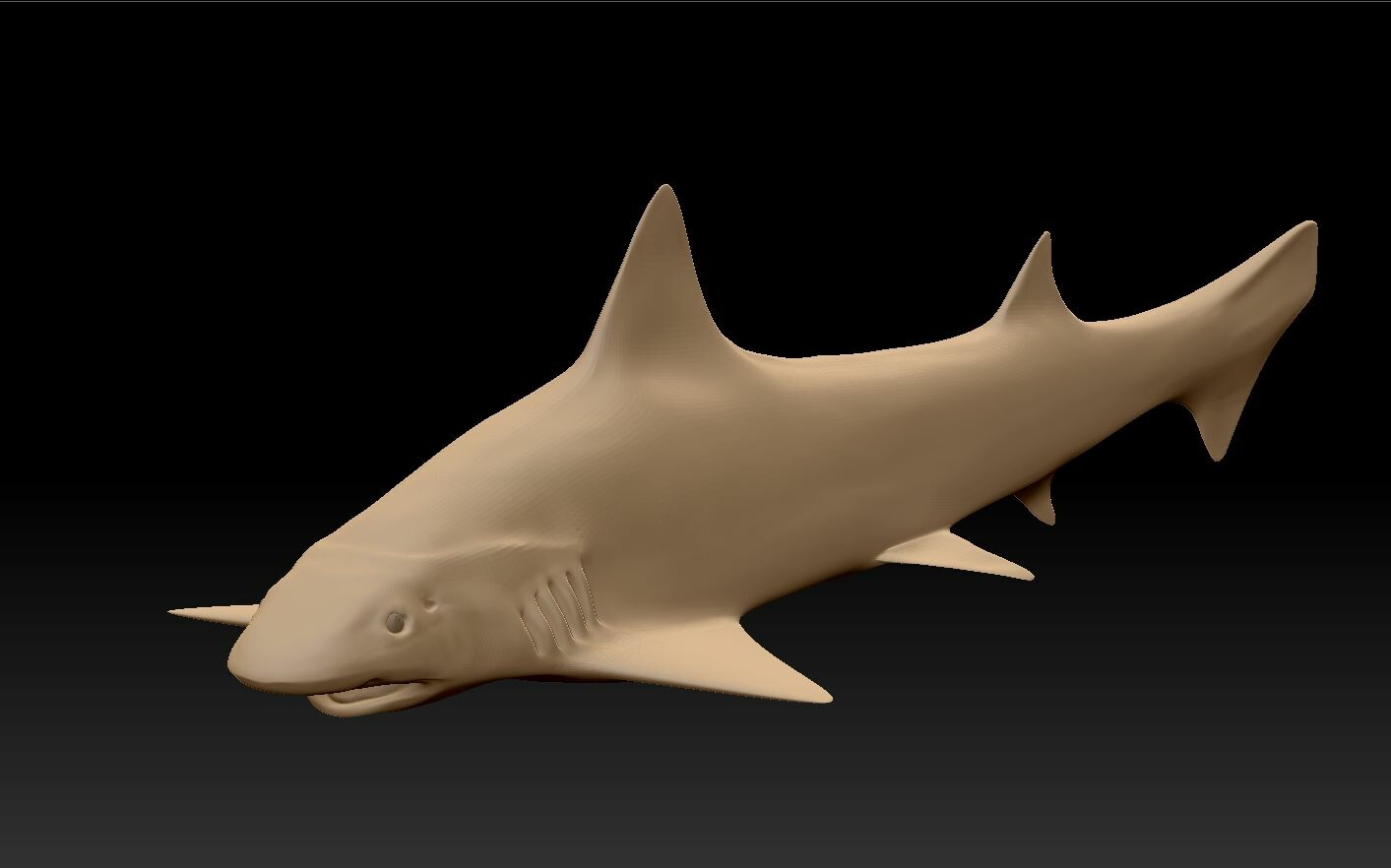 Shark Model in Zbrush