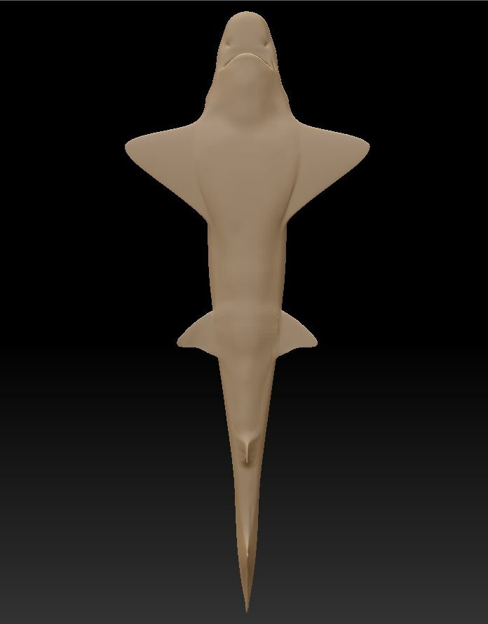 Shark Model in Zbrush
