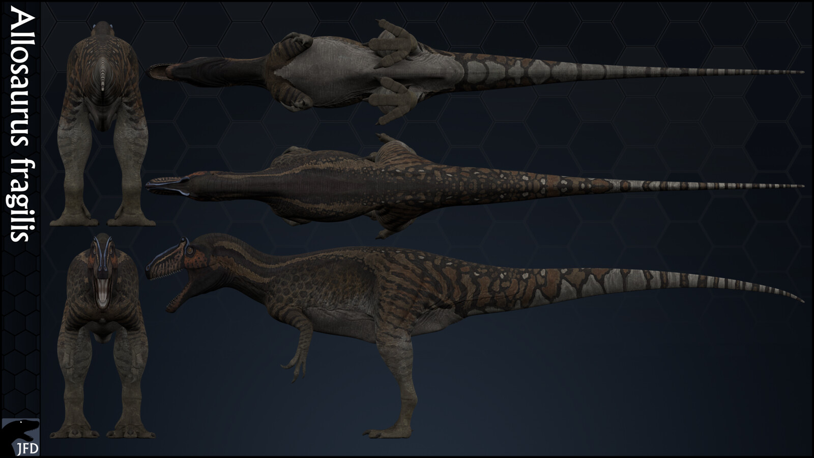 Allosaurus fragilis (AMNH 290) orthographic multi-view render.