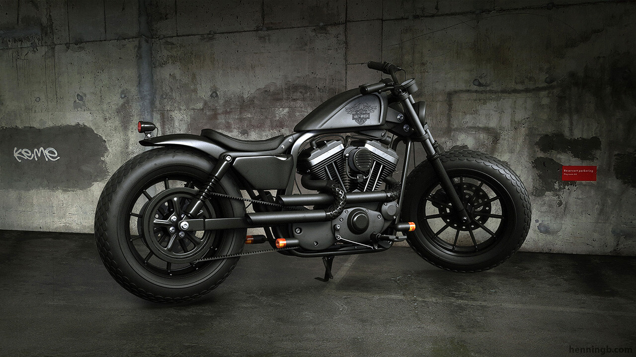 Henning Birkeland Harley Davidson Sportster Iron 883