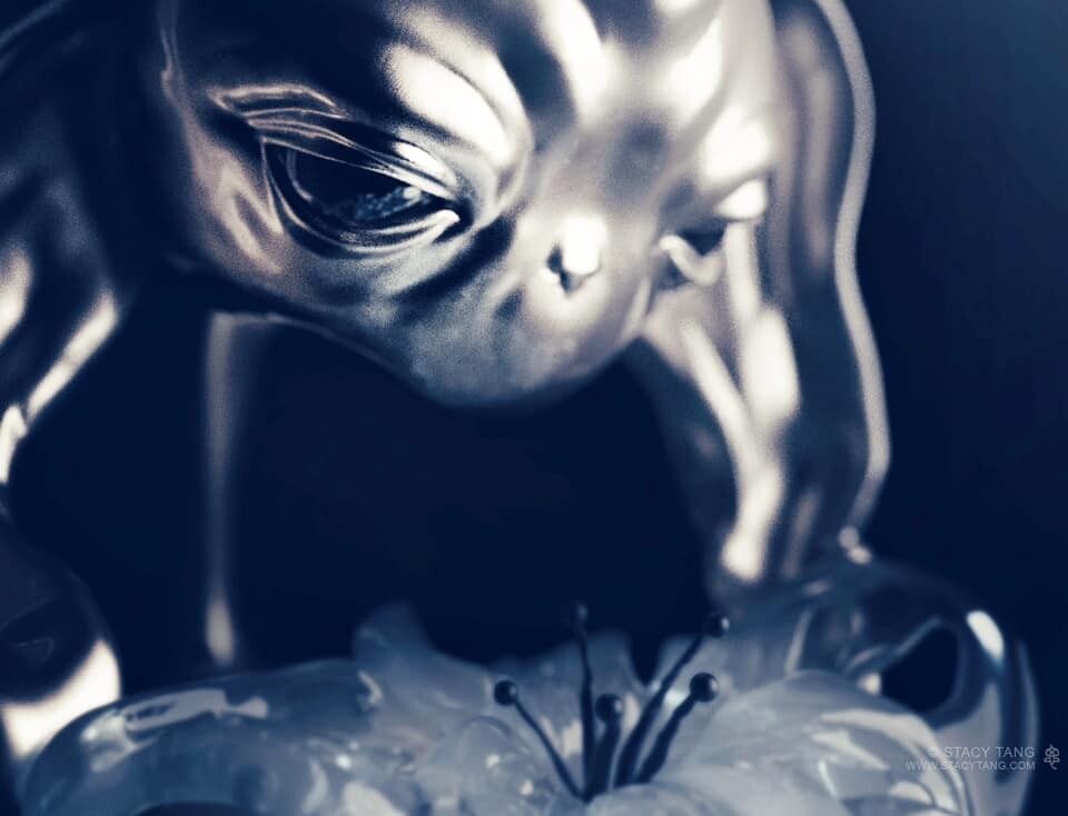 ArtStation can we speak in flowers. it will be easier for me to