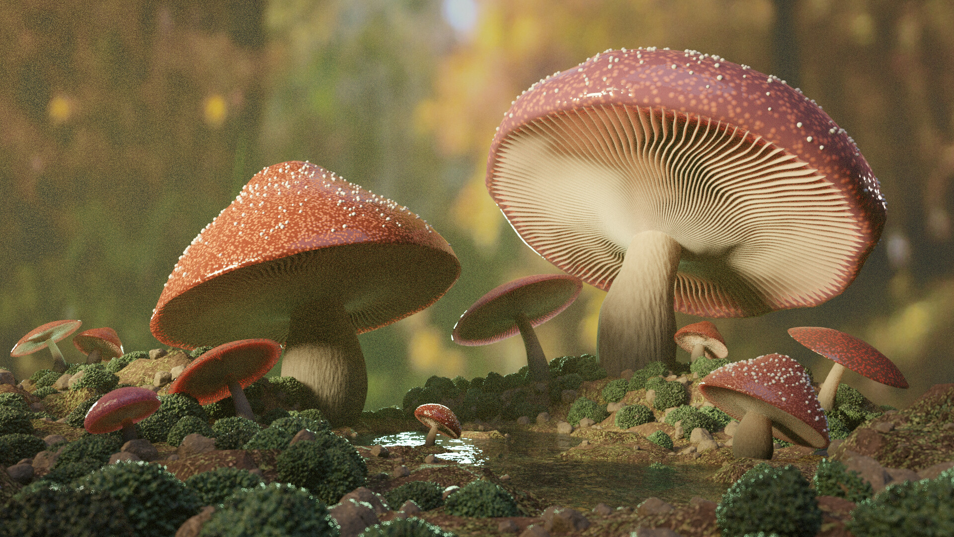 ArtStation Mushroom study