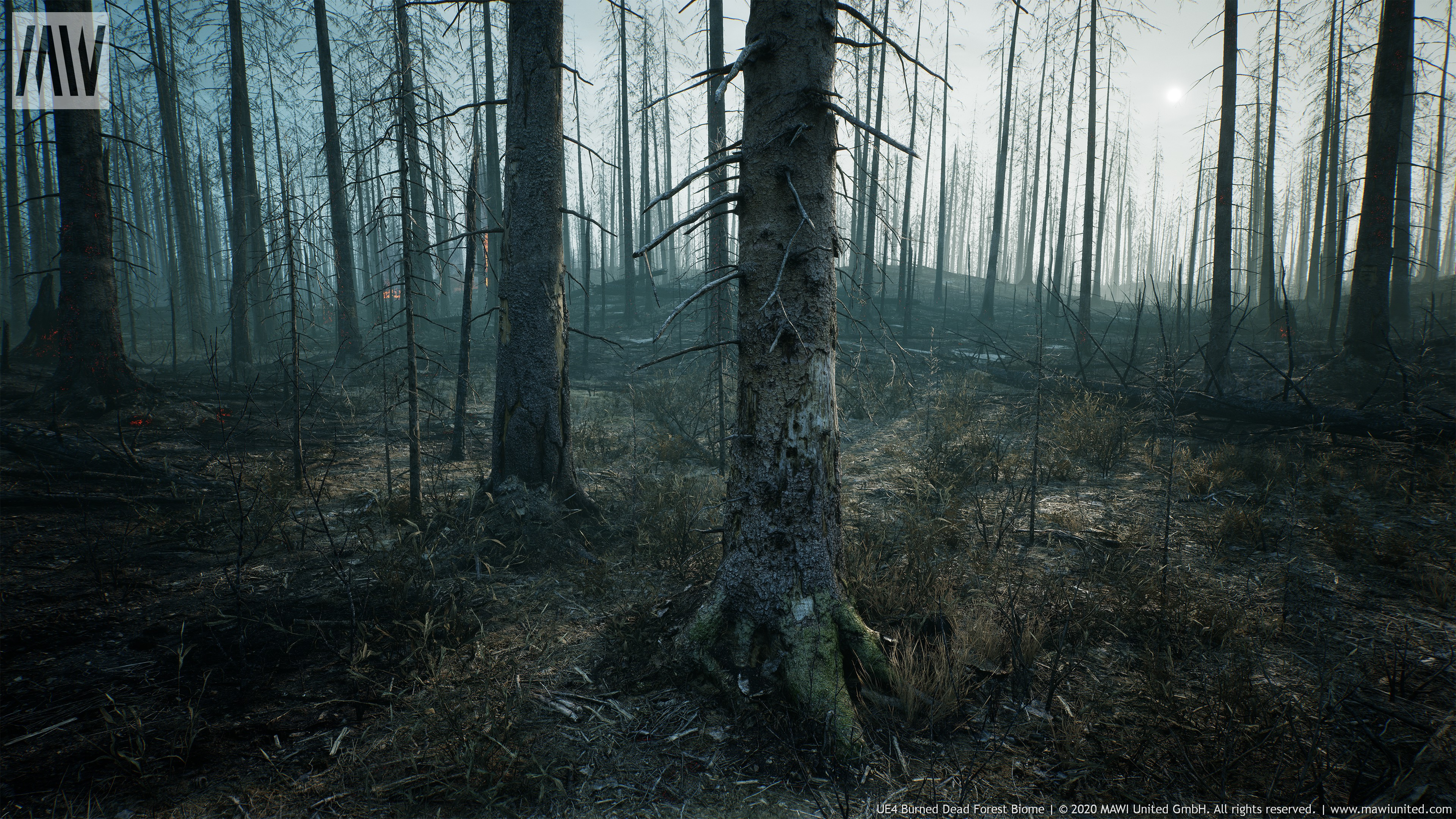 2. Unreal engine 5 игры. 2. Ue4 forest. Unreal engine 5 лес.