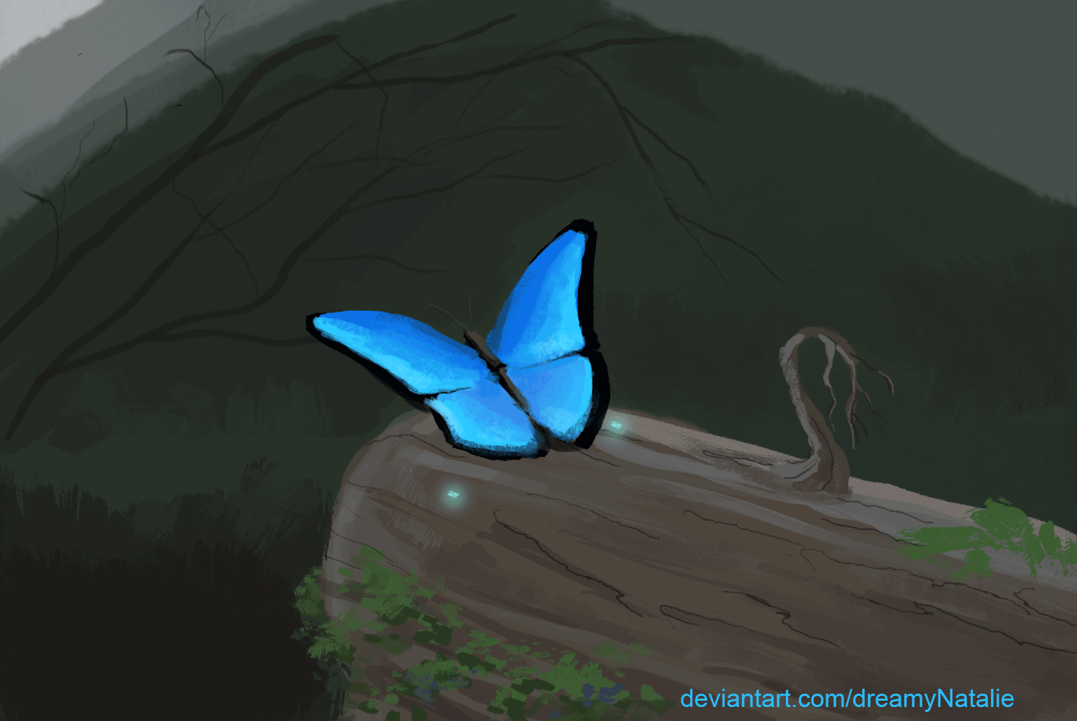 ArtStation - Butterfly - animation