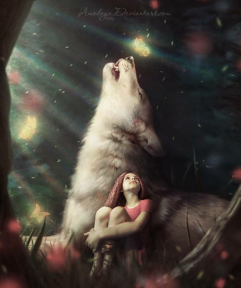 Original https://www.deviantart.com/amedeya/art/Girl-and-the-<b>Wolf</b>-804989404...