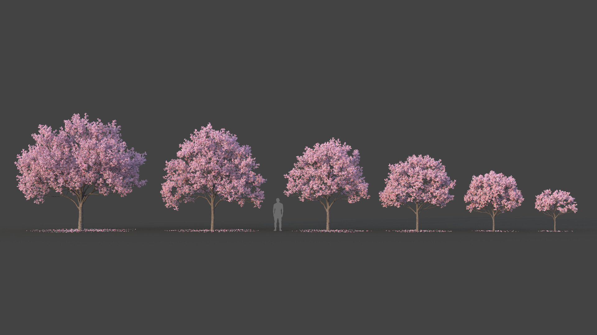 Paz - Sakura Tree Set