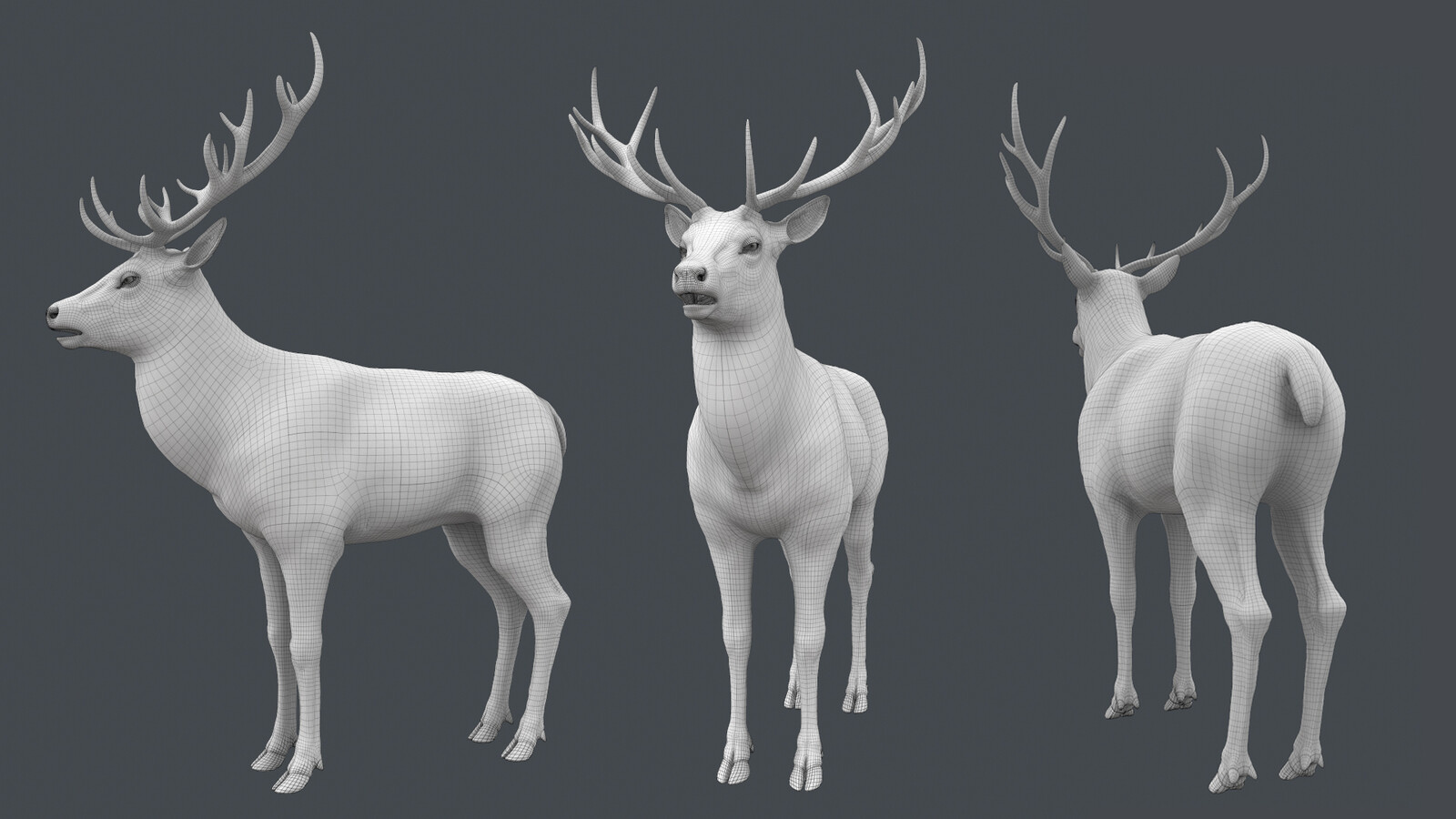 Deer from the film Peter Rabbit (topology).