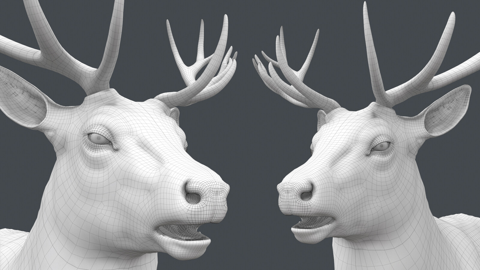 Deer from the film Peter Rabbit (topology).