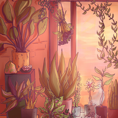 Lotte schonis plants in the windowcil