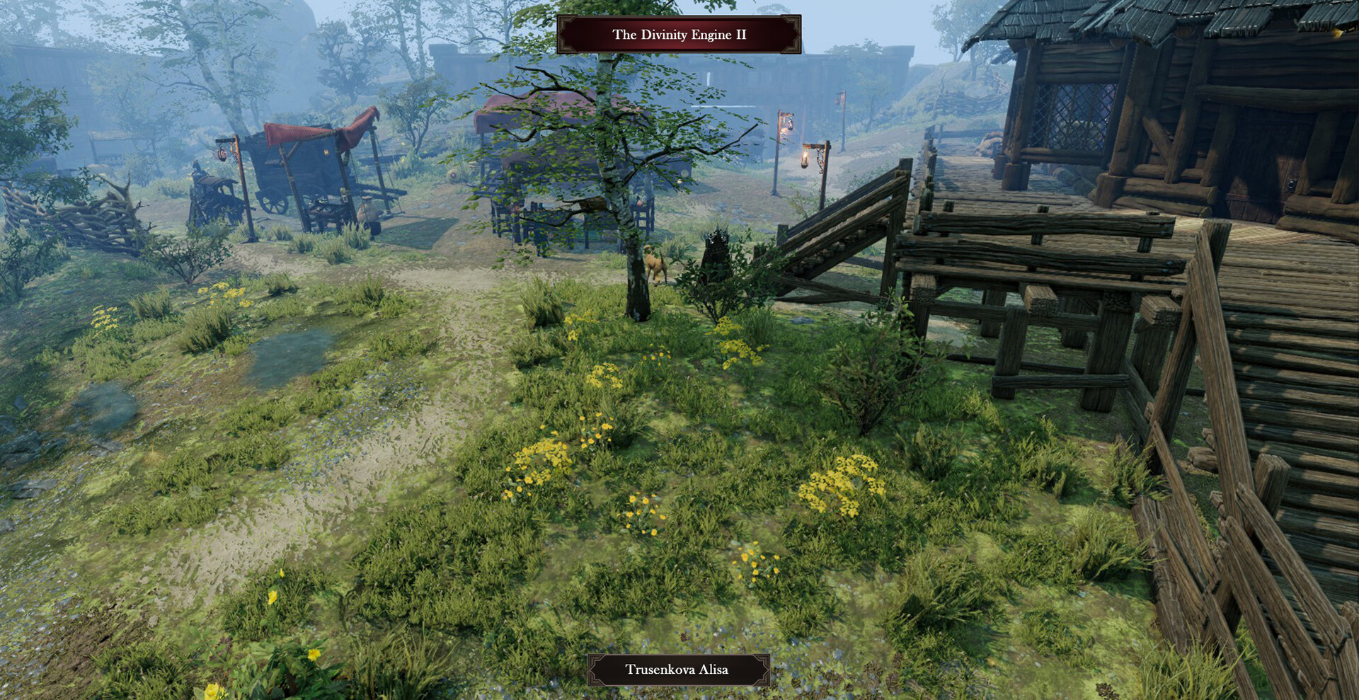 Steam divinity 2 loxaradar