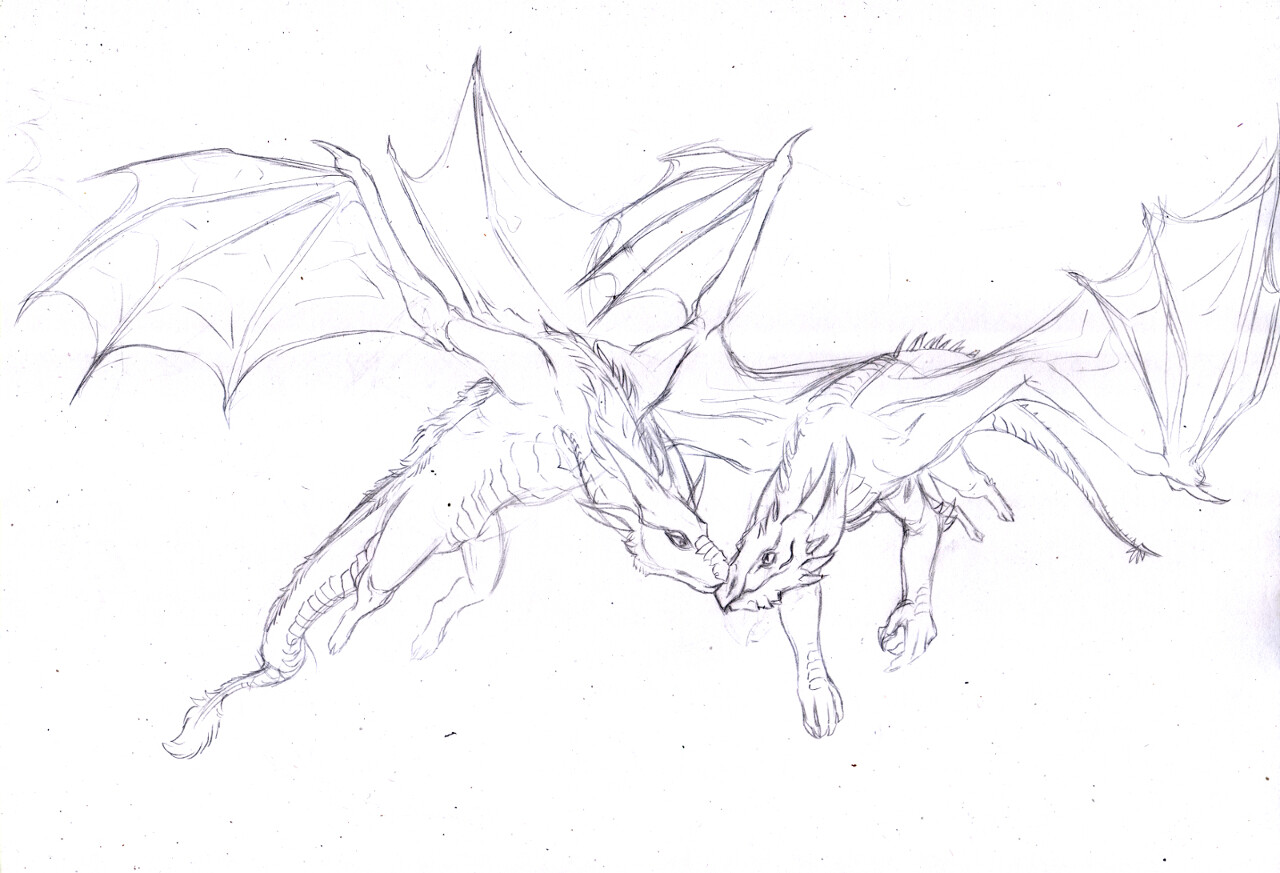 WIP 1- sketch