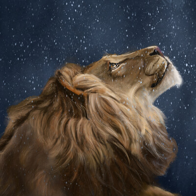 Lion in the Snow