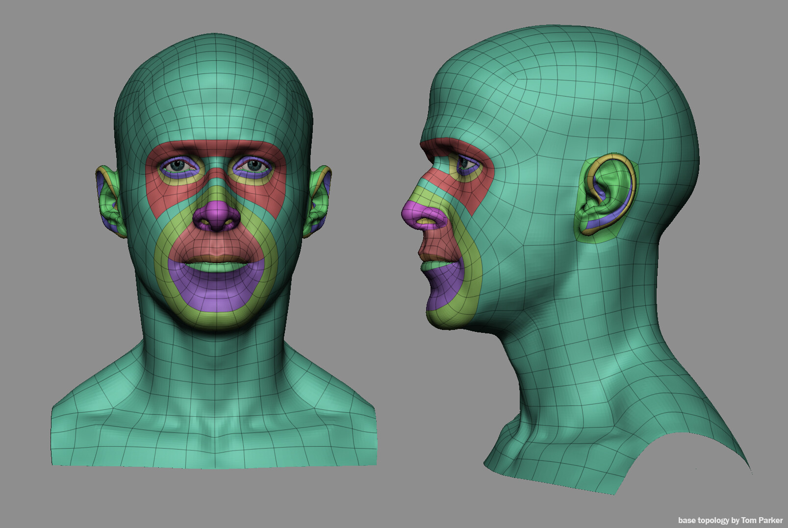 Male Face Topology