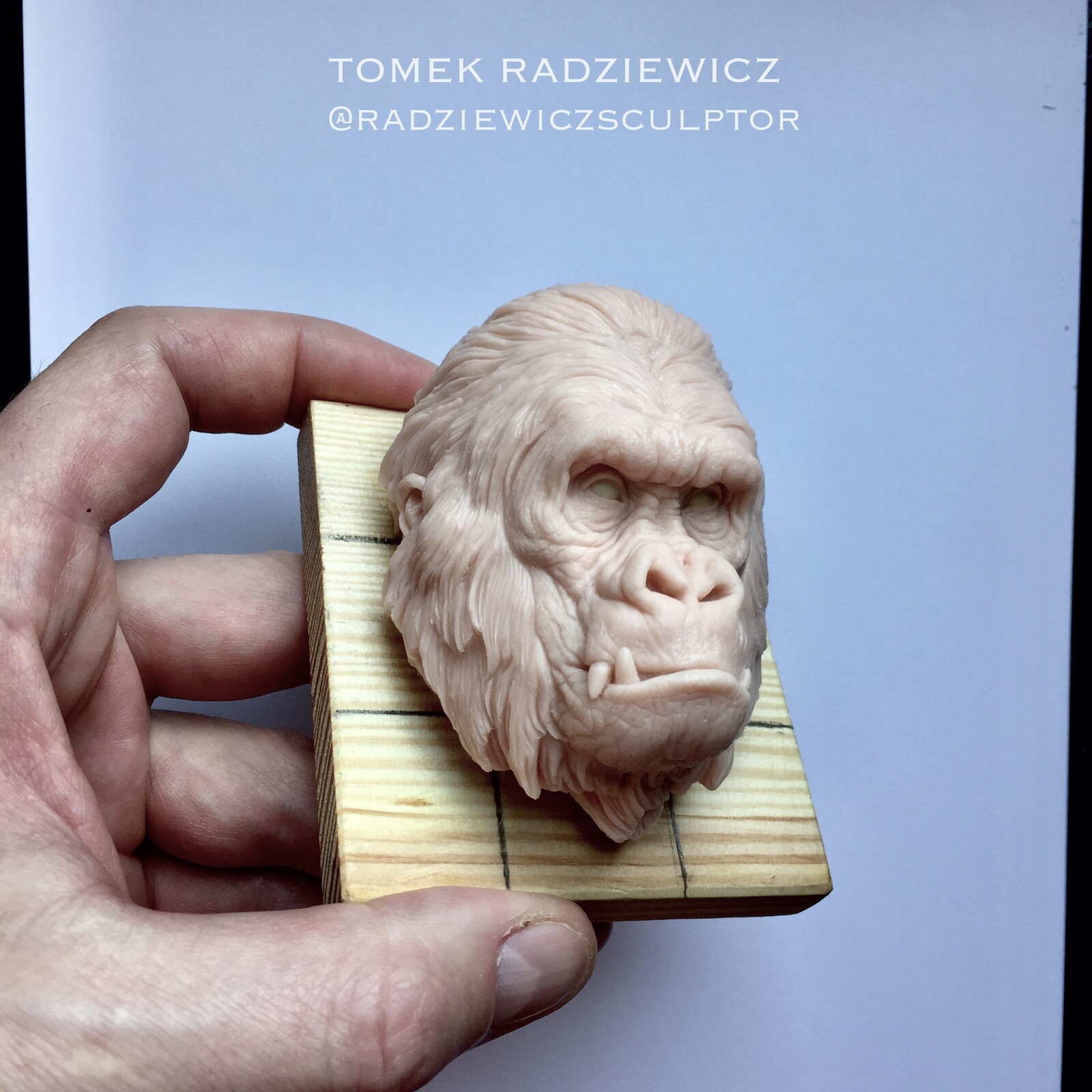 Gorilla face. It’s hand made polimer clay sculpture. 