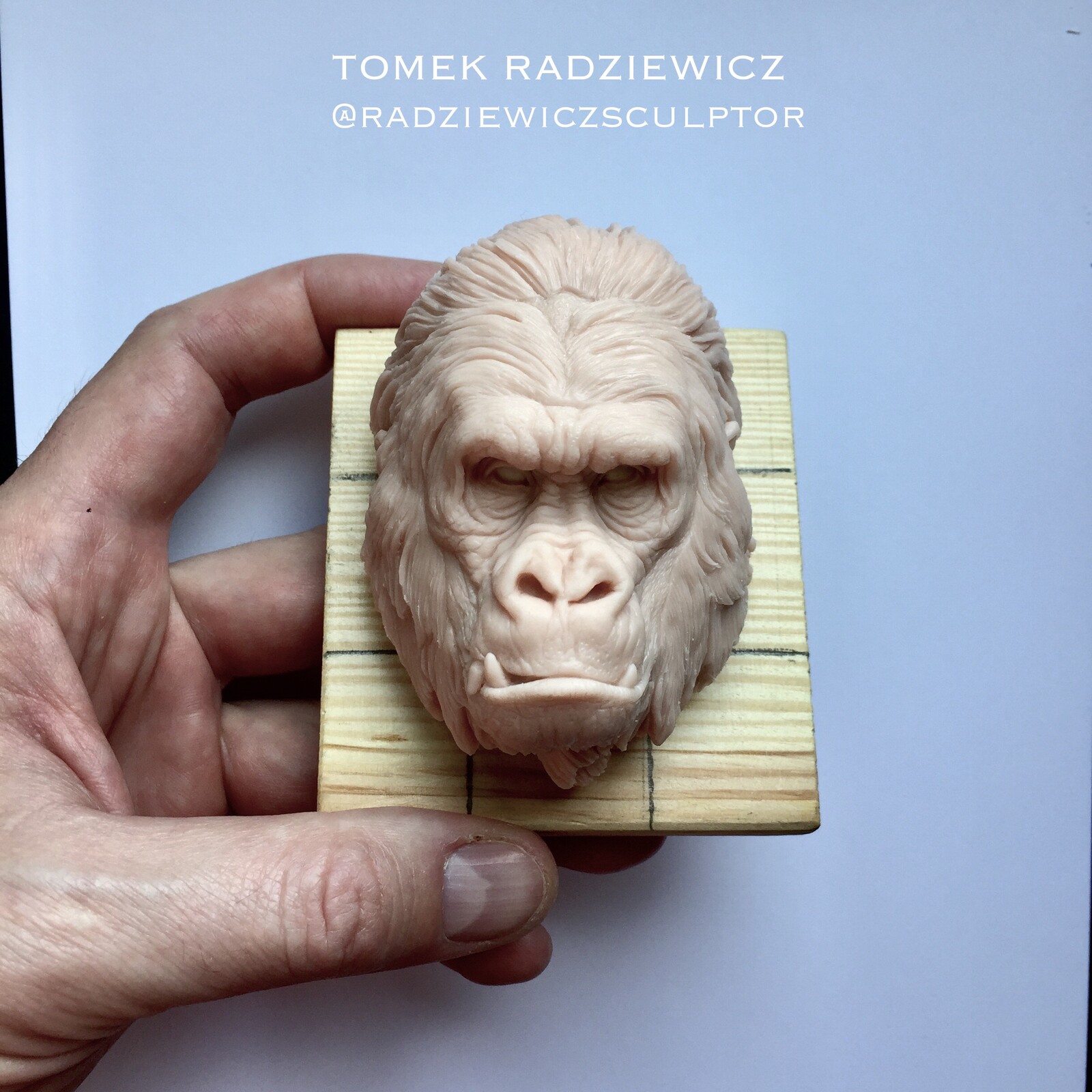 Gorilla face. It’s hand made polimer clay sculpture. 