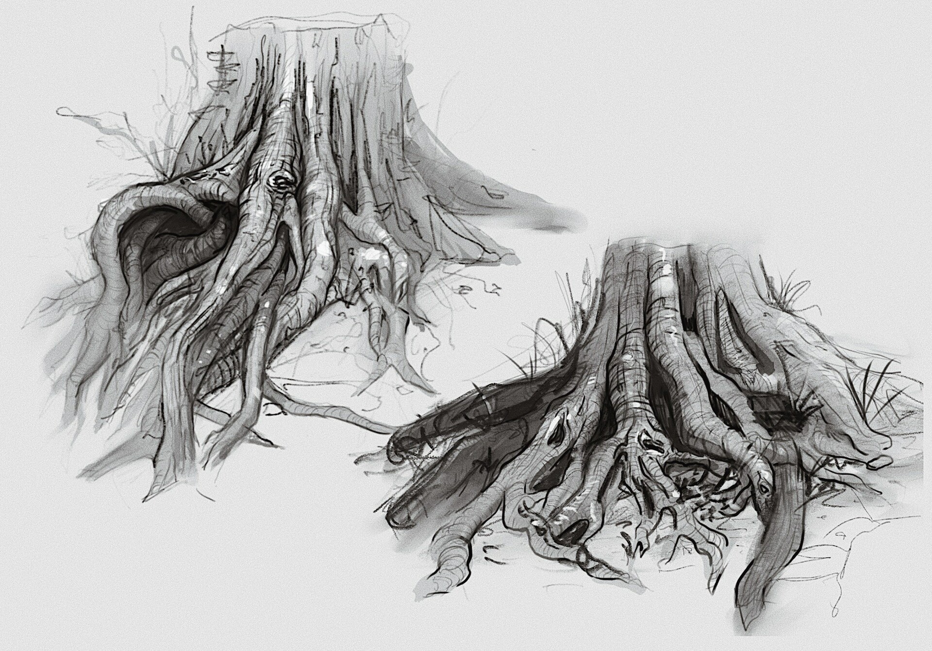 Artstation Studies Regular Updates Lili Wissenbach