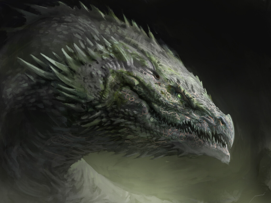 Dragon head study