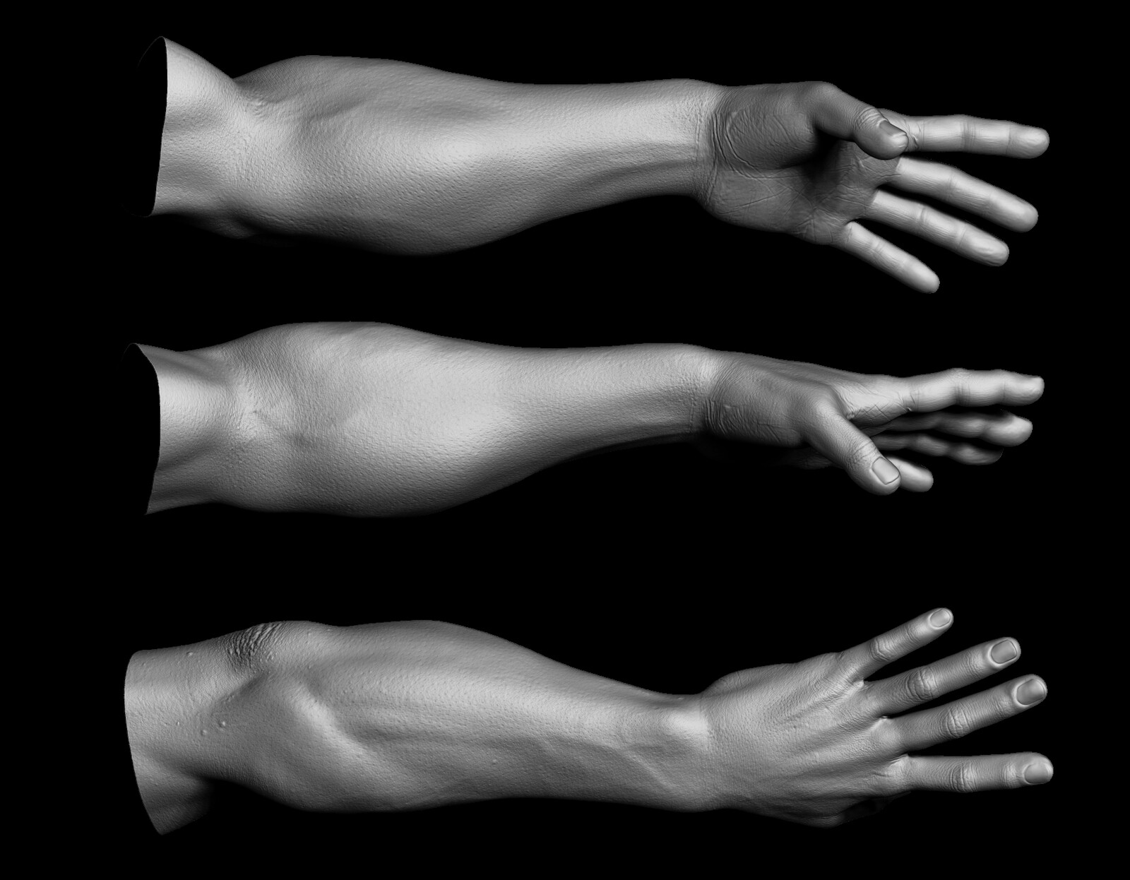 High res sculpt of the arm