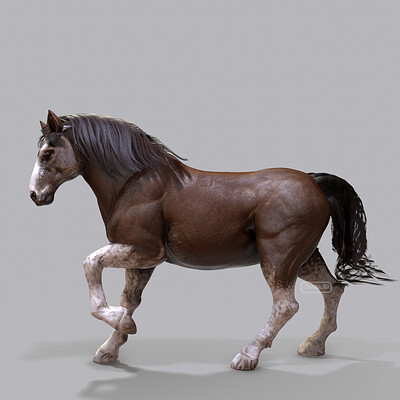 Tyler smith clydesdale07 02