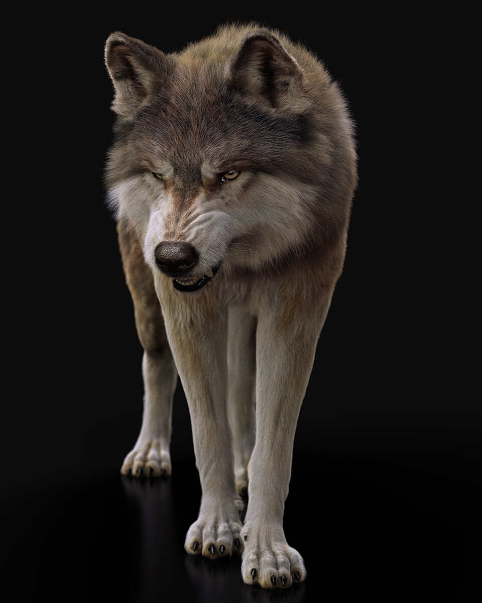GreyWolf RIG
