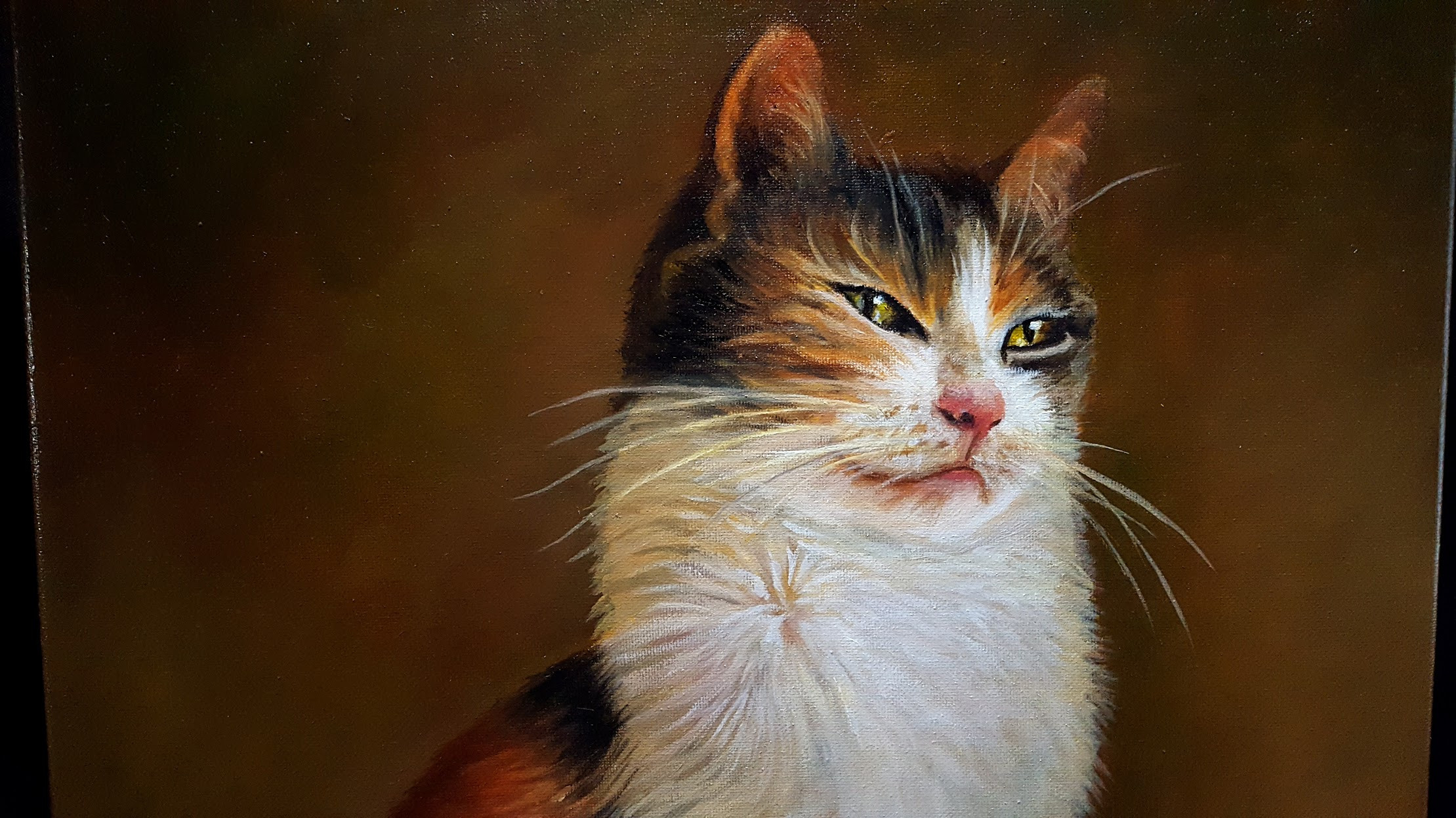 Portrait of a Cat 