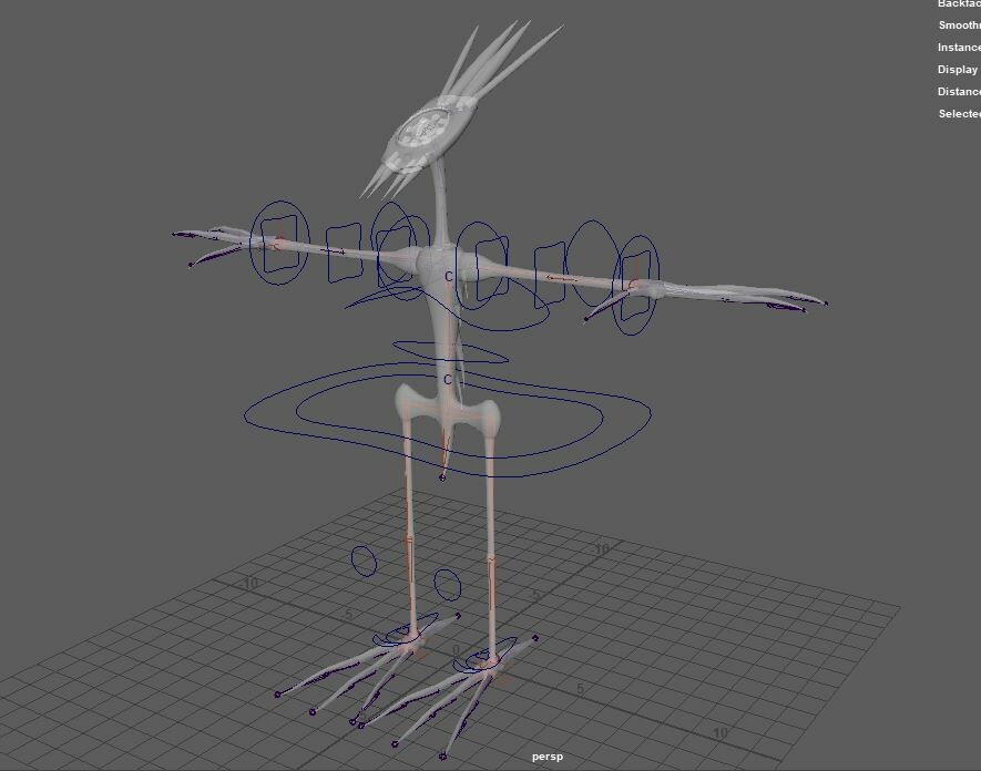 Rigged Character
