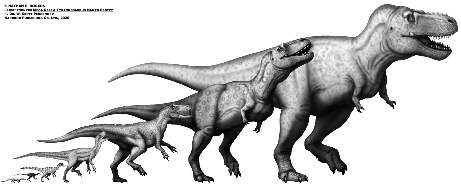 Mega t rex sales