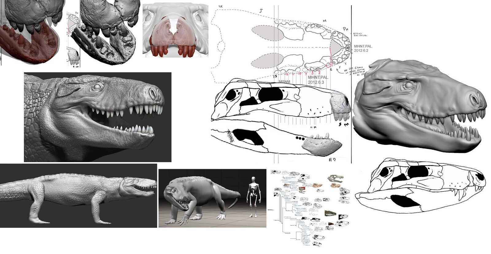 visual references and the virtualized version of the fossil