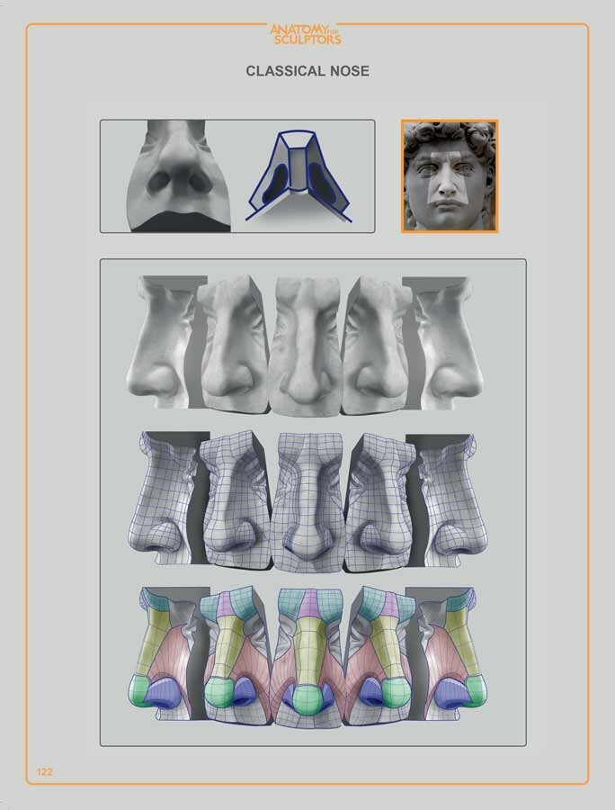 Classical nose