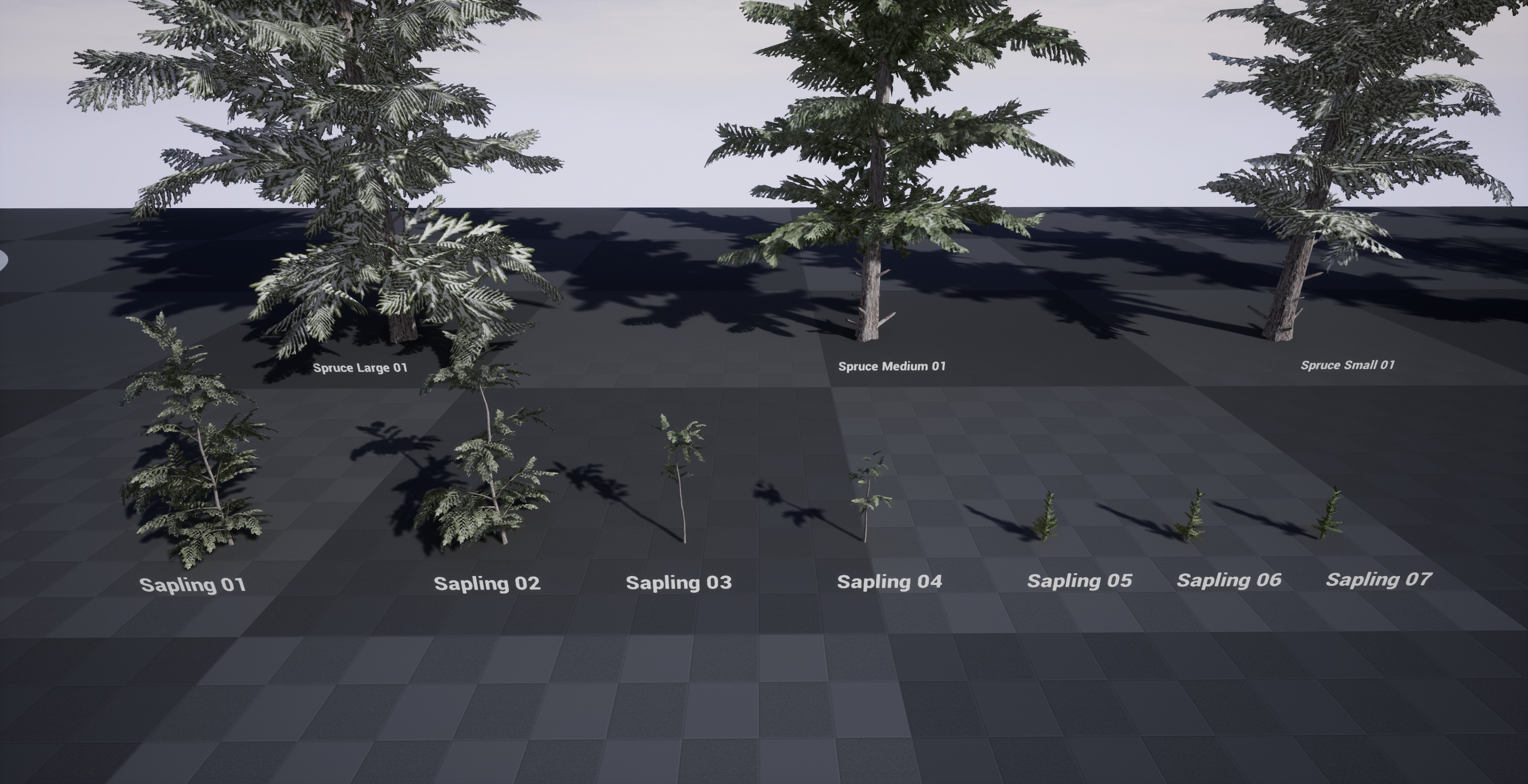Sapling trees created for the scene.