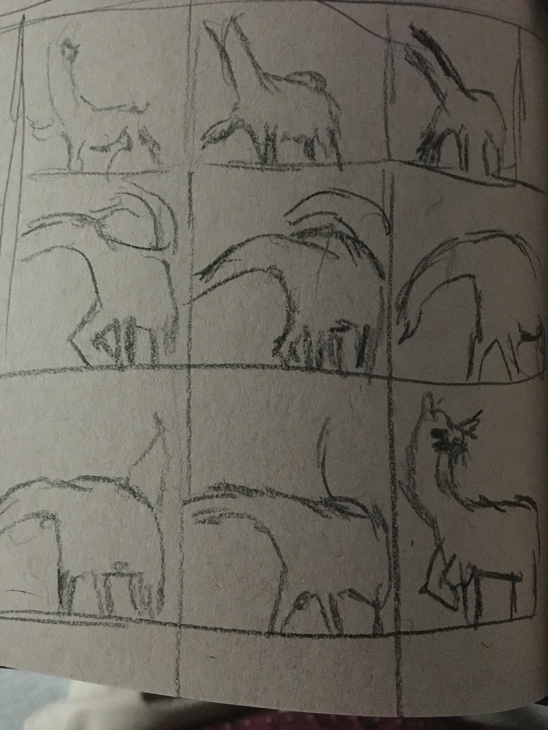 Daniel Petroski Llama Animation Storyboard Sketch