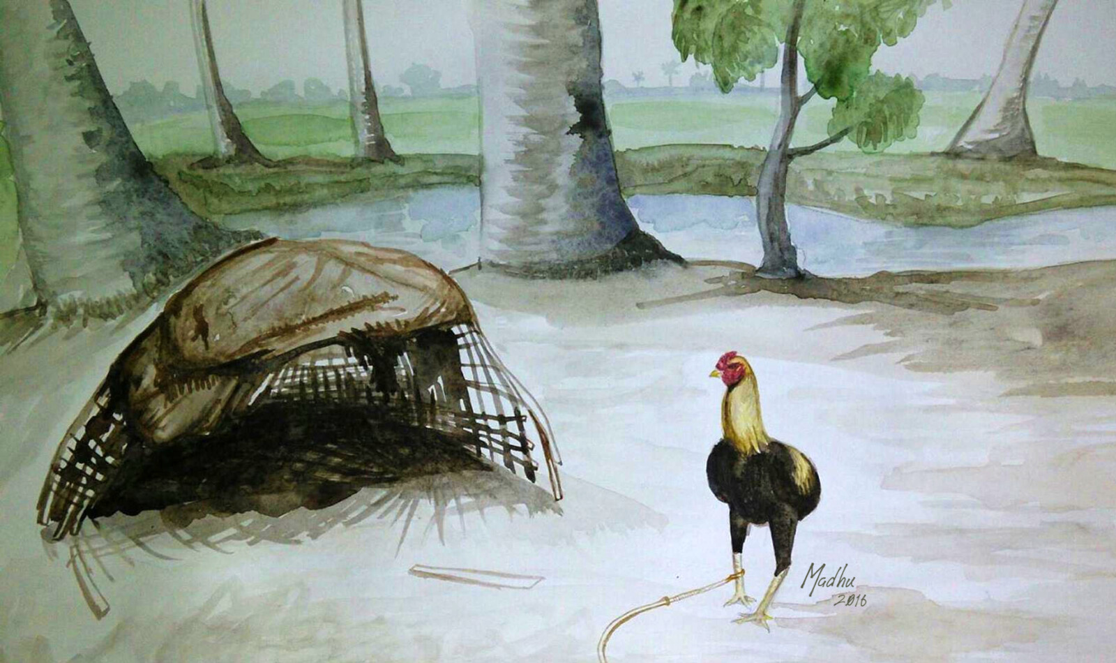 Cock - Water colors on paper
