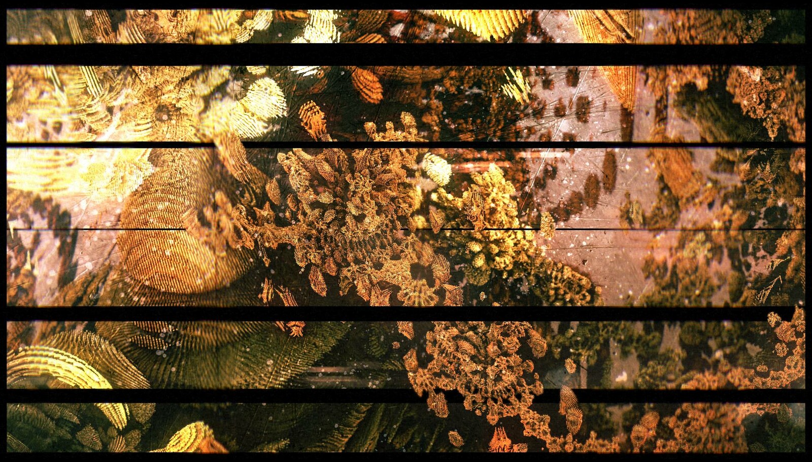 Fractaland [1]
