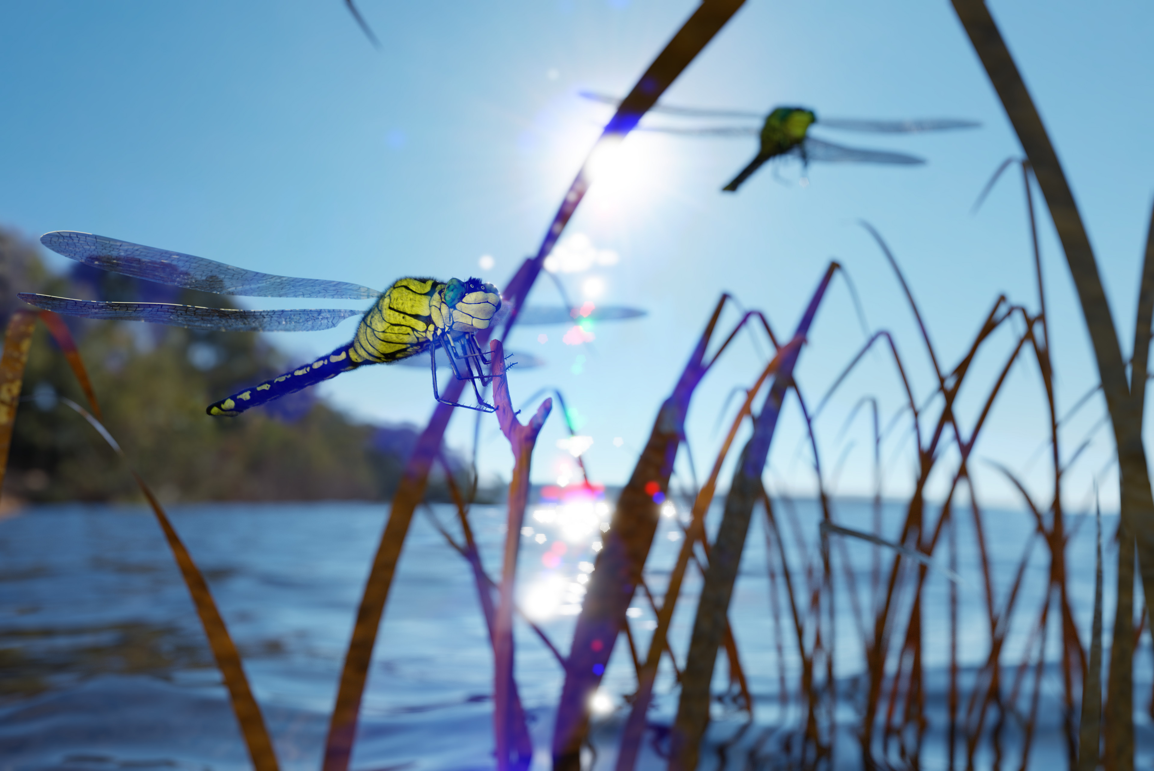 The image of the Dragonfly perched on the sun dried stalk in the middle of a lake says a lot about the relationship it has with nature’s gifts to man such as lakes.

The sun at the background visually suggests looking for hope for a brighter future.
