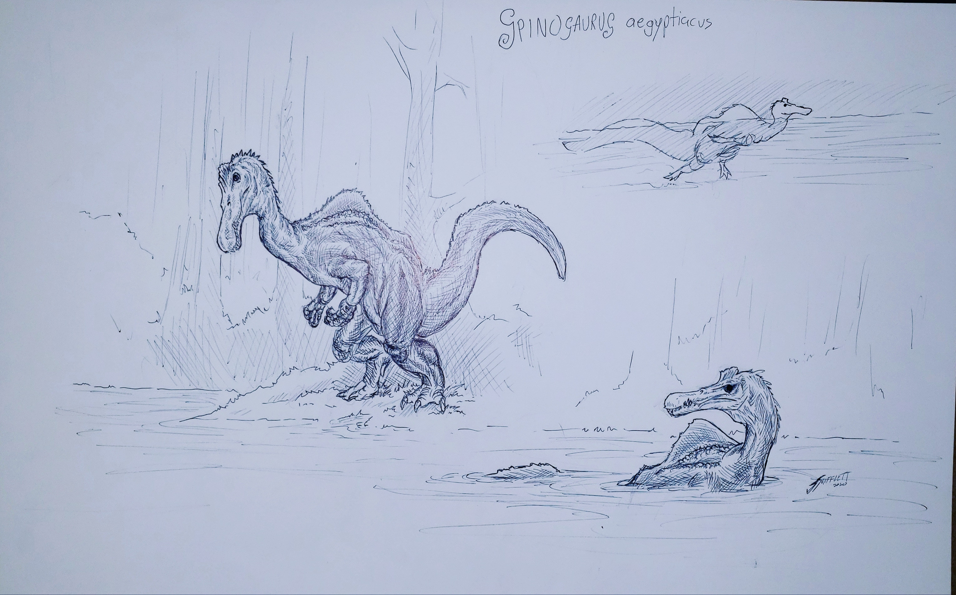 Spinosaurus aegyptiacus 