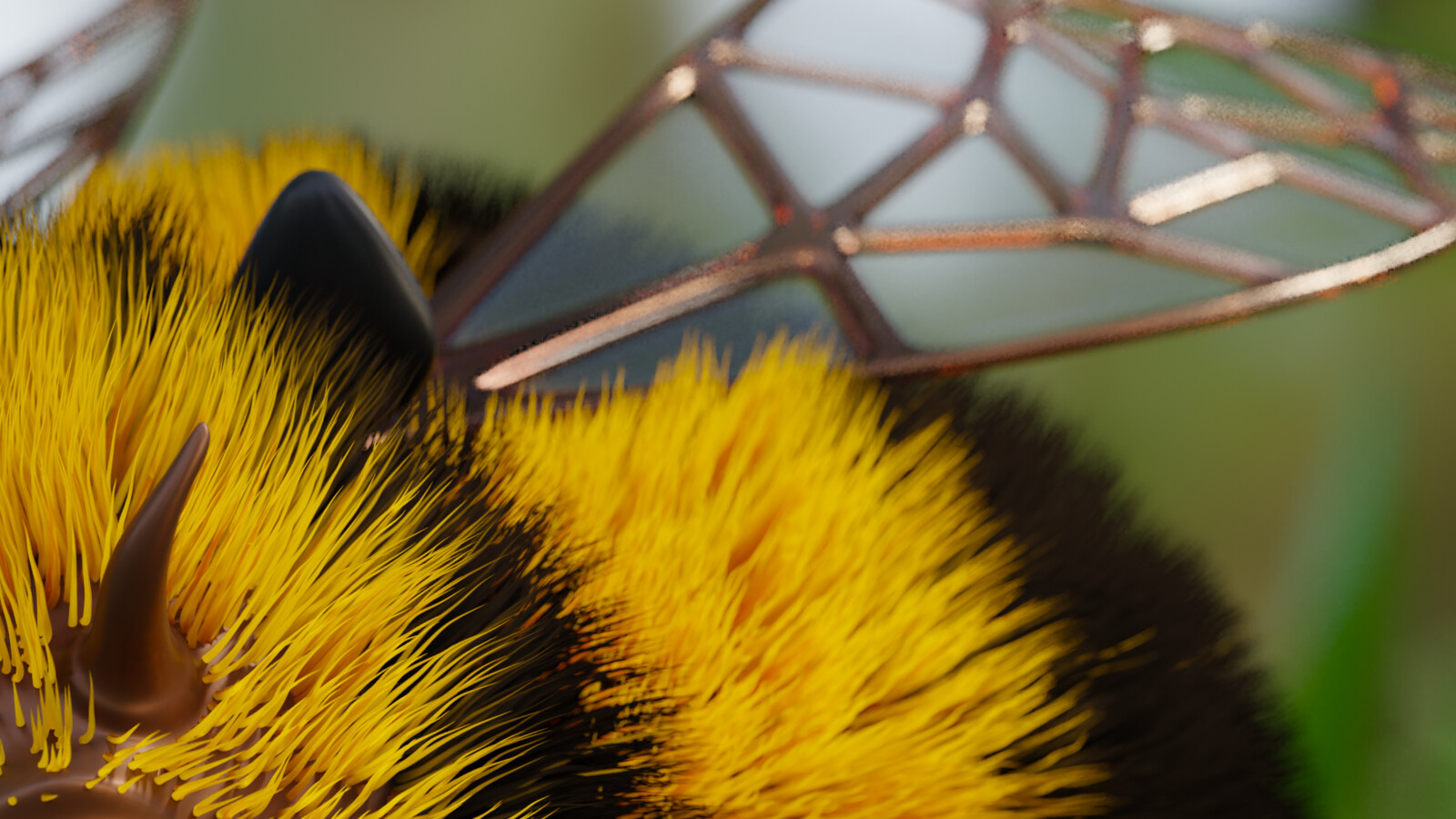 Close up of fur and wing