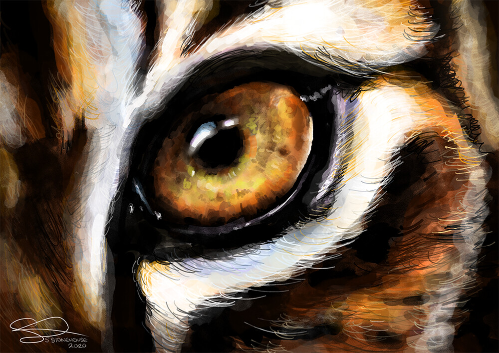 Tiger eye outlet pictures