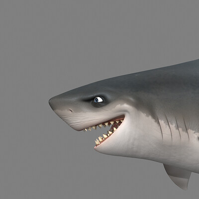 Marcus boos shark character texturing and shading