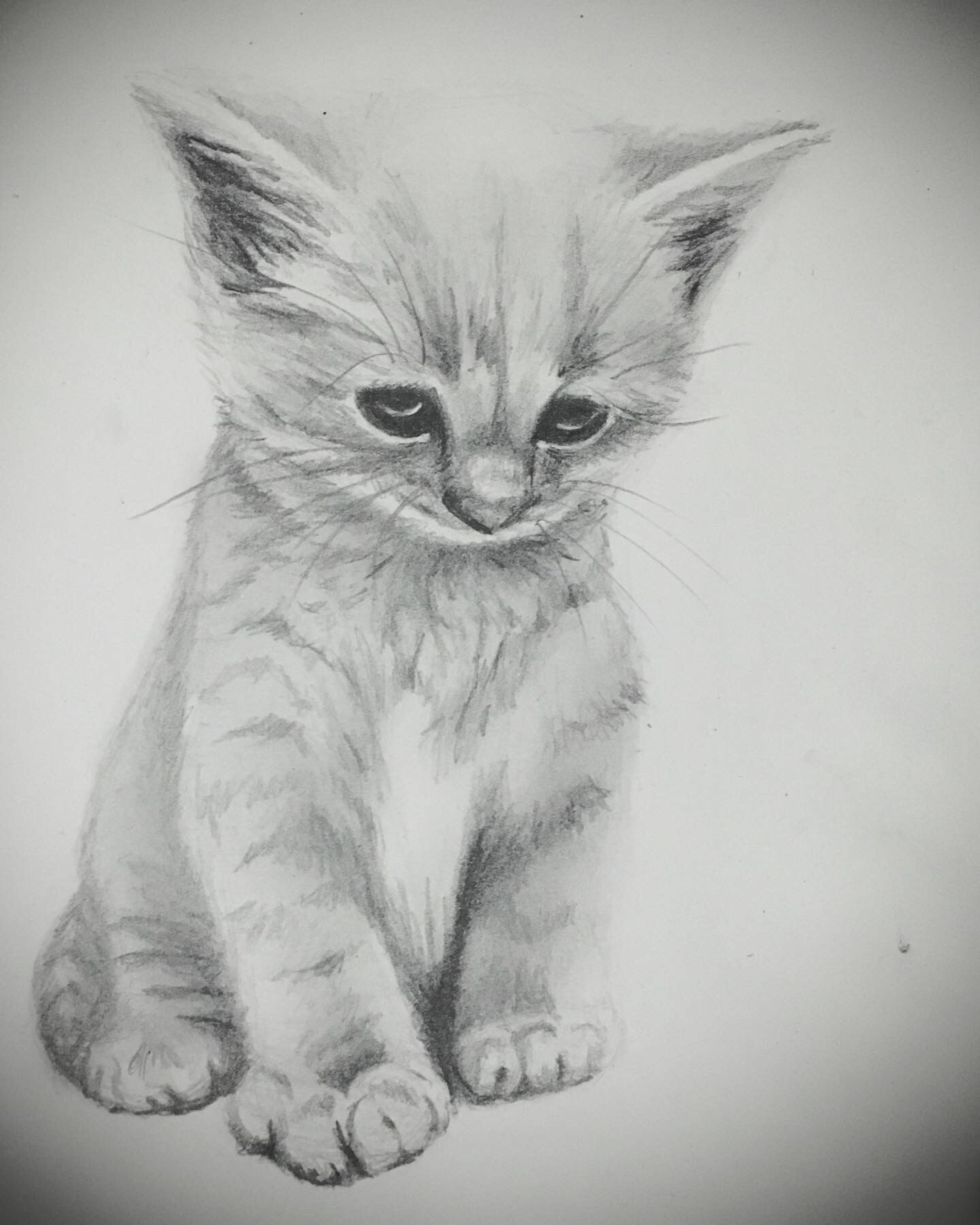 ArtStation - 30 days Cute Animals drawing challenge ( only paper and pencil  )