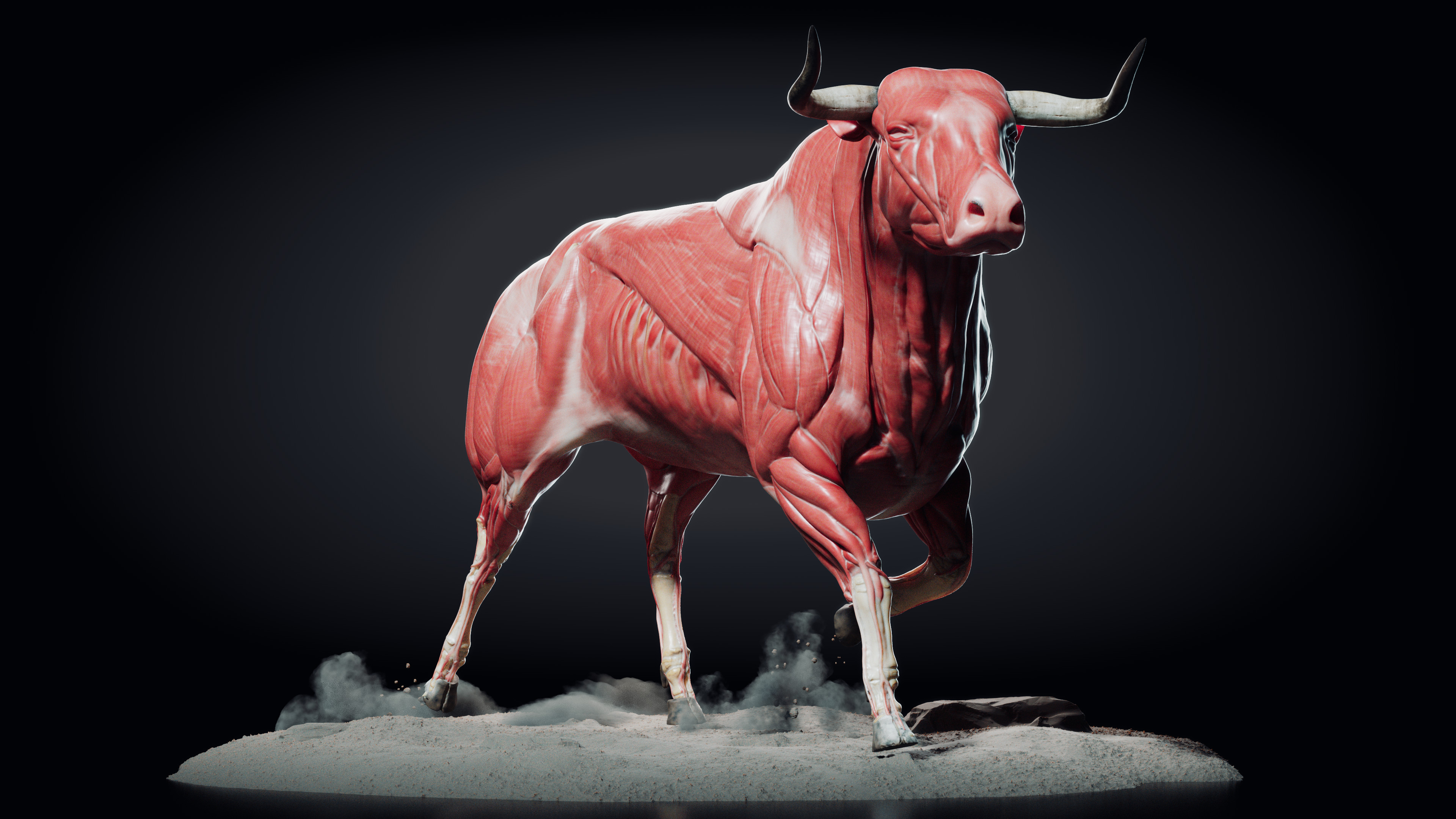 Bullish перевод