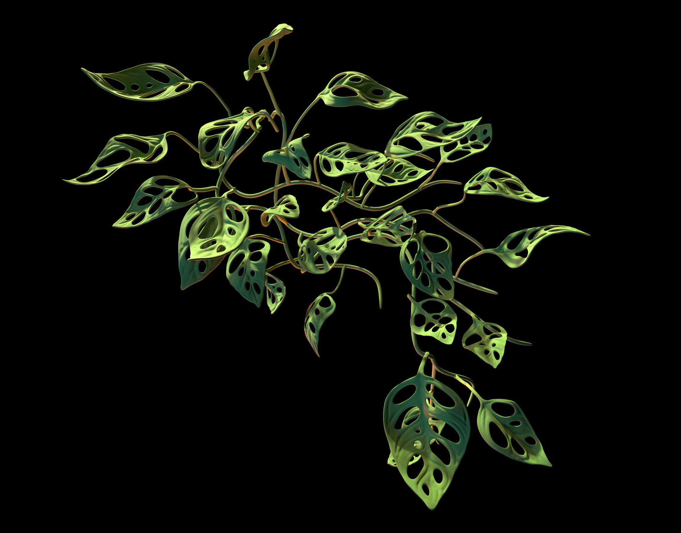 Extra: Monstera adansonii plant sculpt.