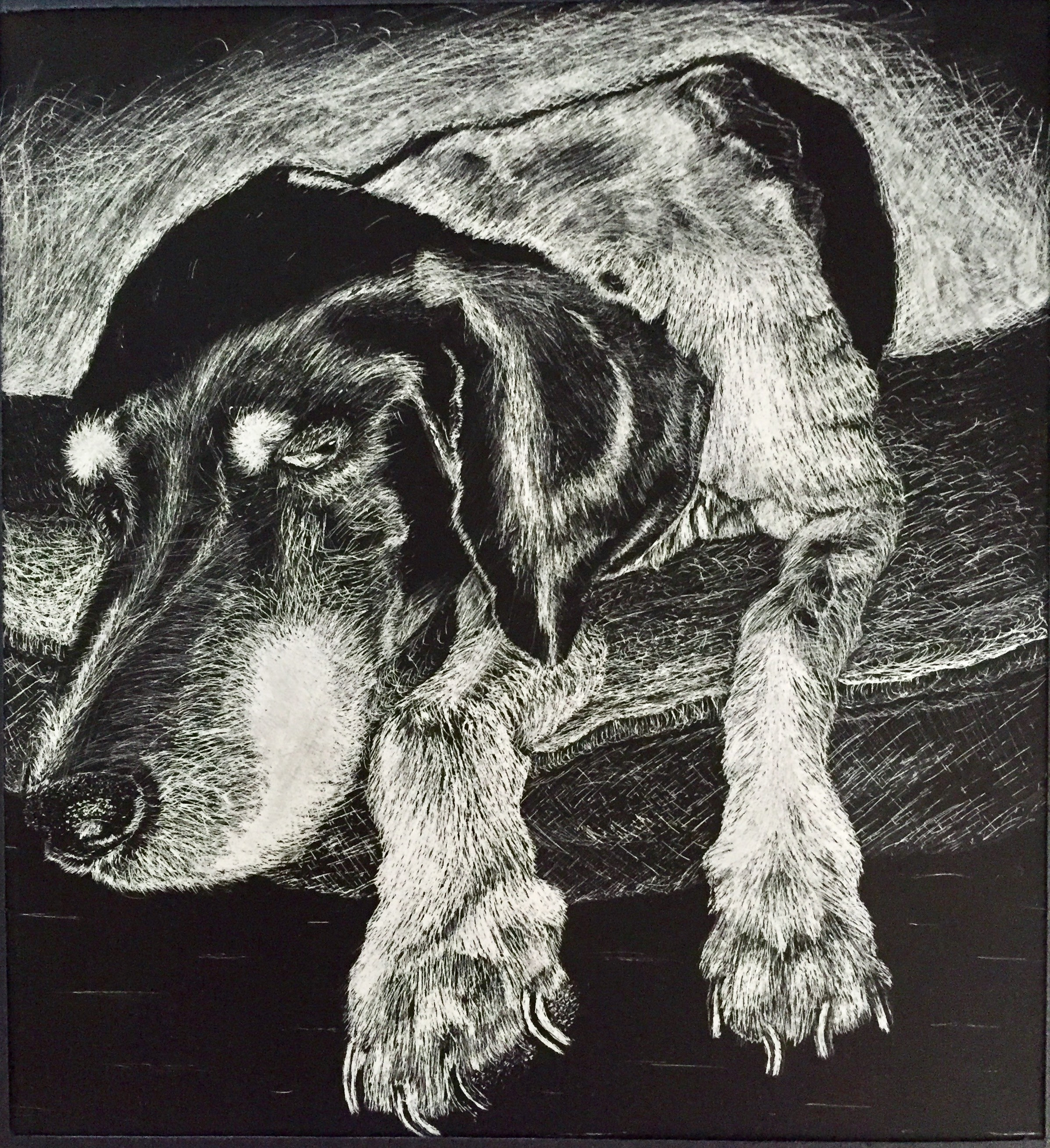 Stone Allan Scratch Board Dog