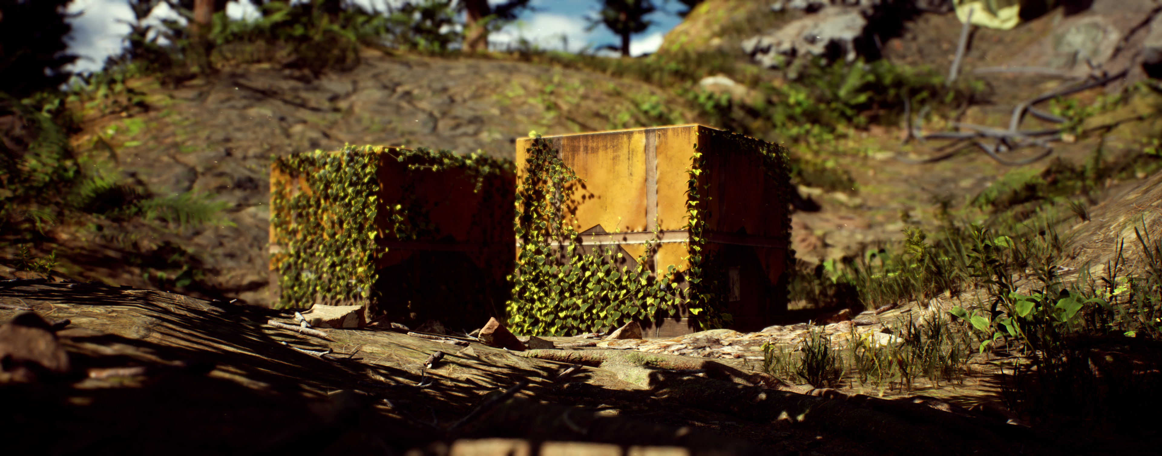 Custom Colour Grading 01