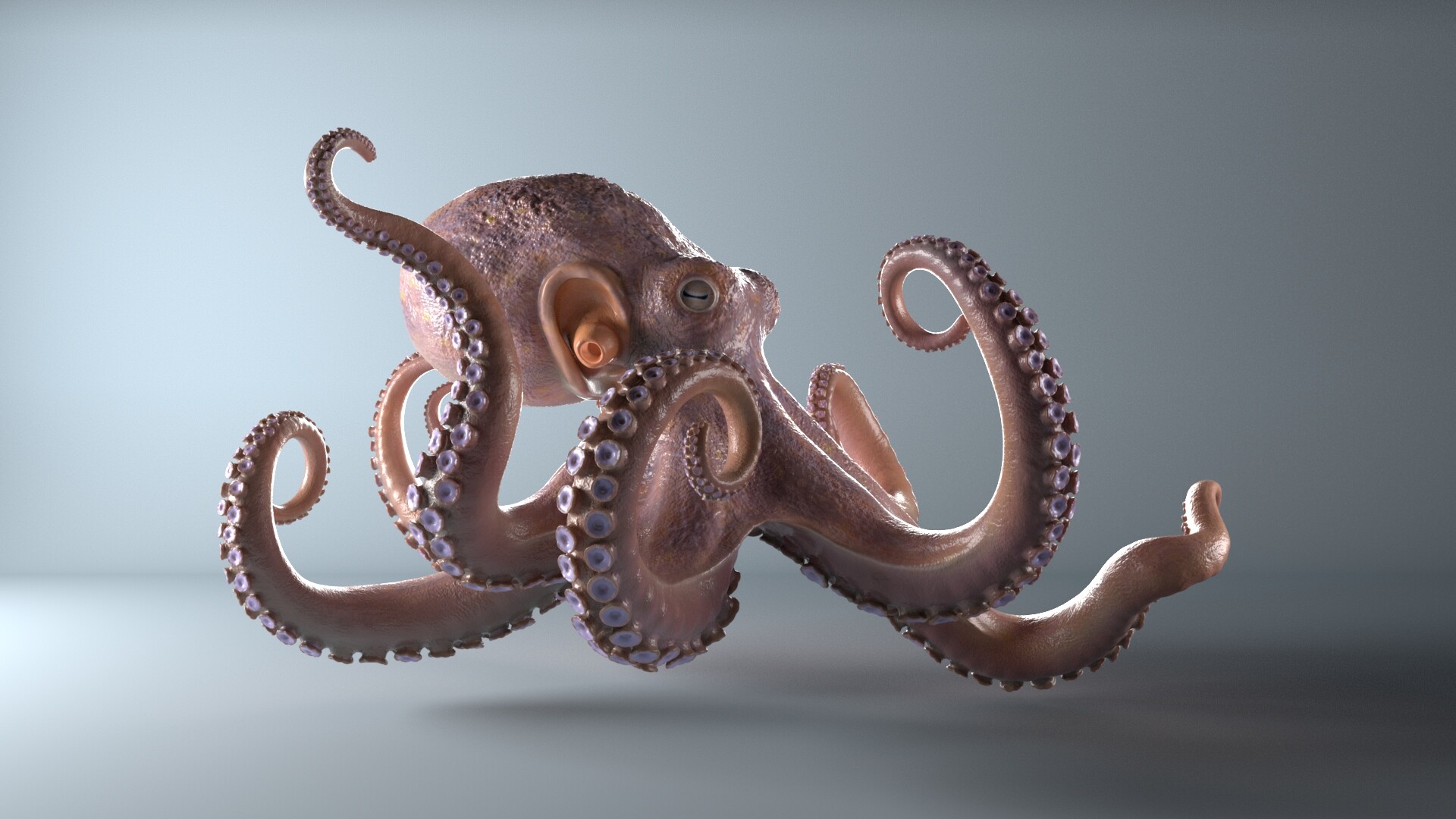 ArtStation - Animated Octopus Skin