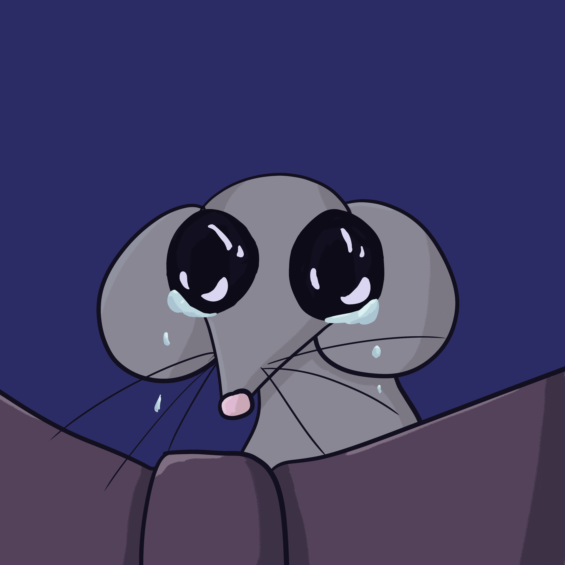Crying rat 2025
